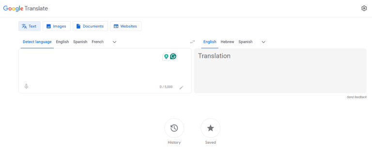 a screenshot of Google Translate